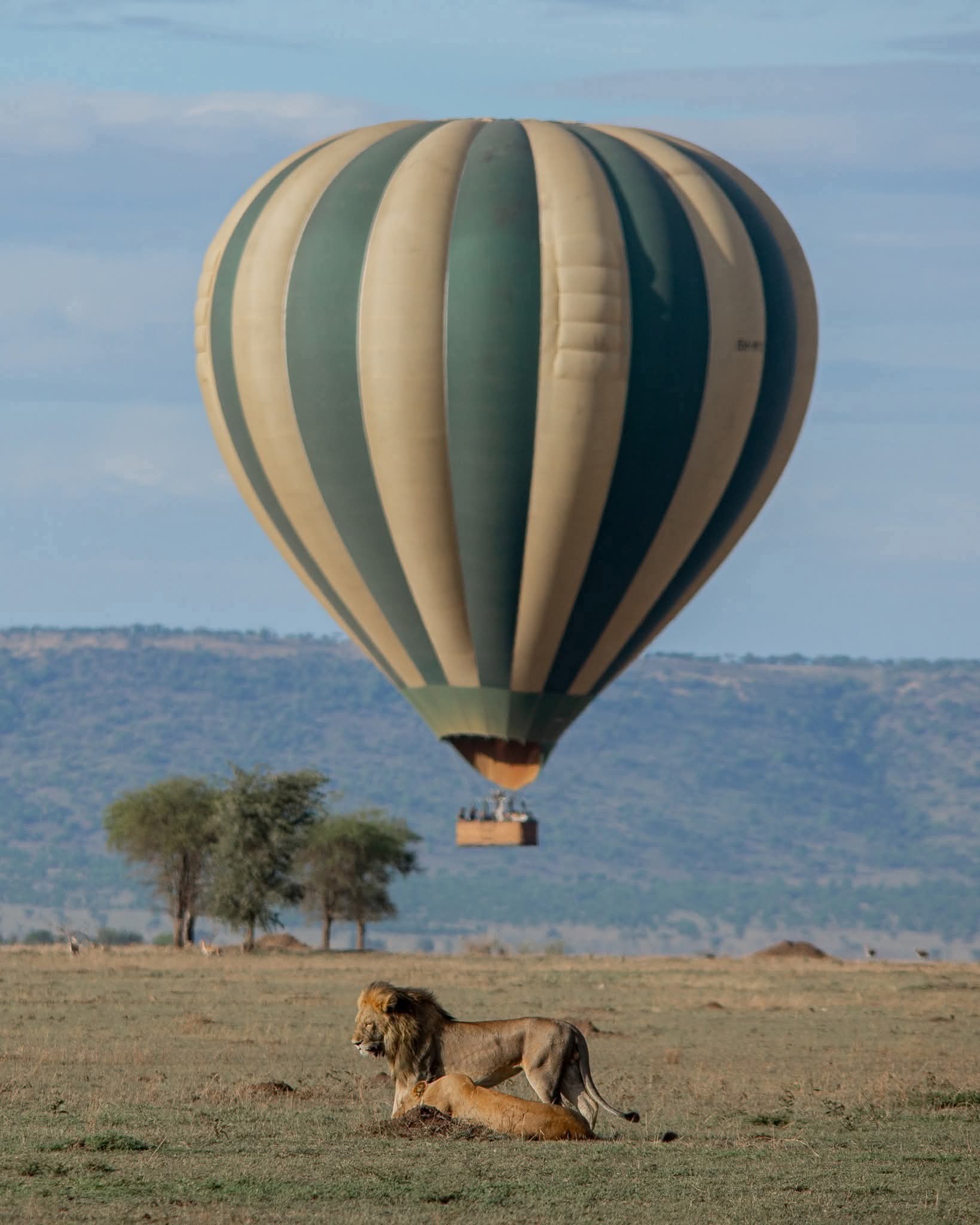 Tsavo